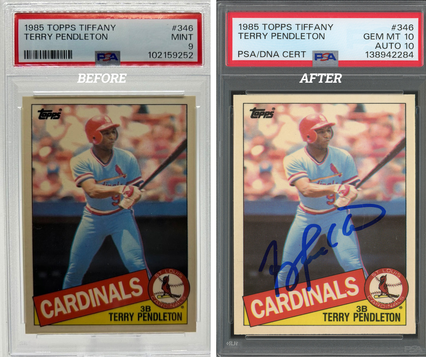 1985 Topps Tiffany Terry Pendleton PSA 10 Auto 10 1985 Topps Tiffany Terry Pendleton PSA 10 Auto 10